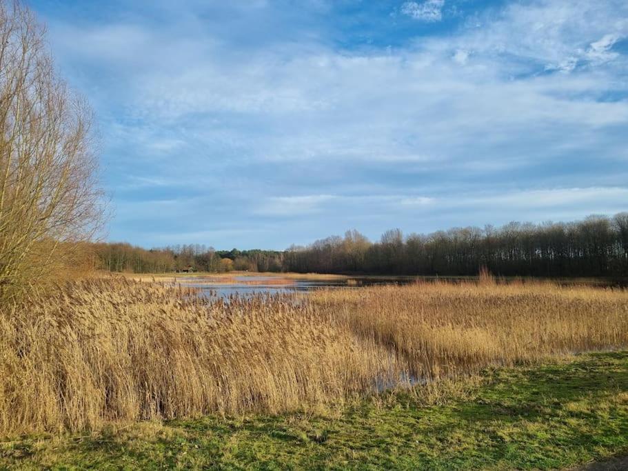 Luxe-Avontuur In Een Romantische Cabin In Het Bos Stekene Luaran gambar